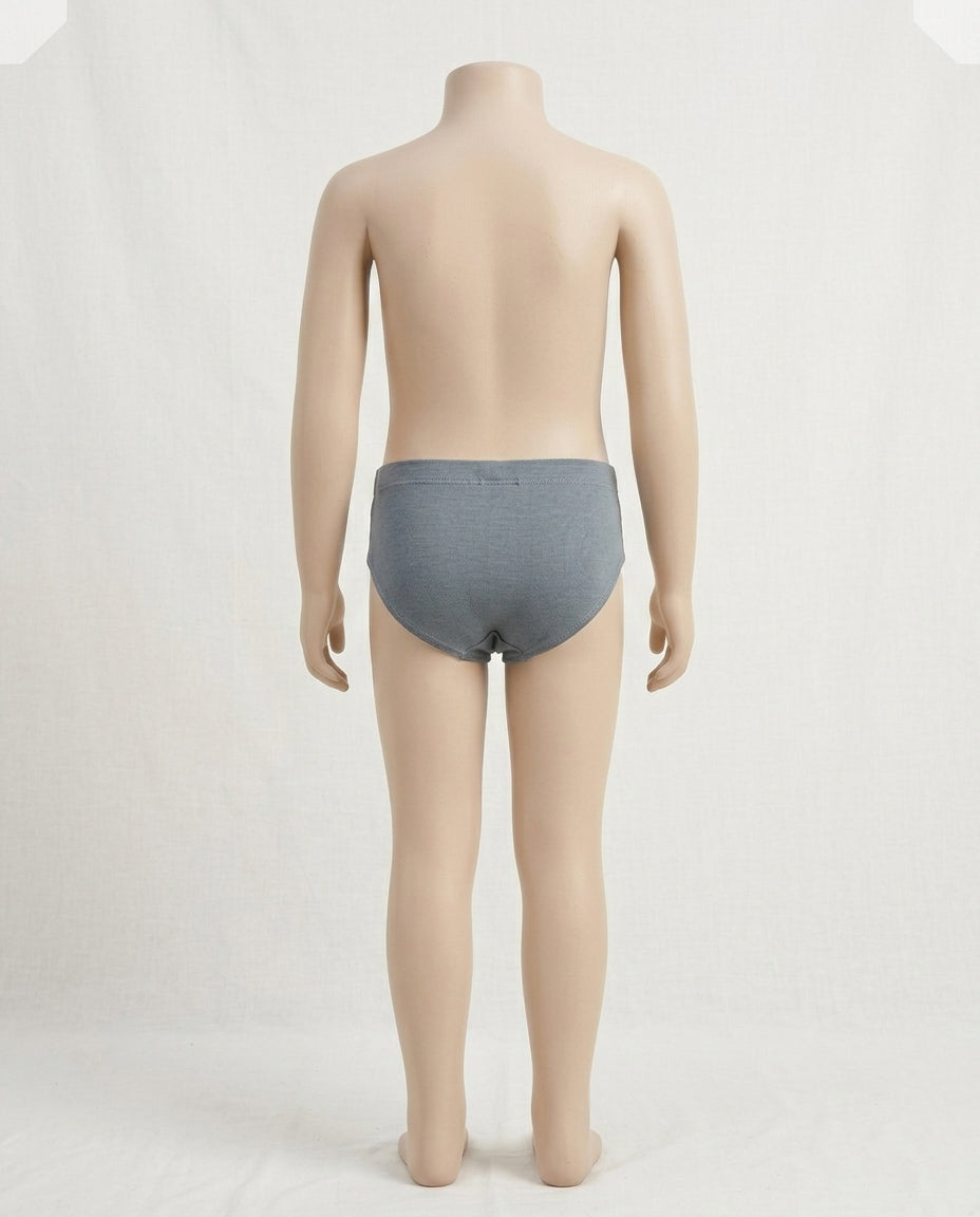 Naturally Dyed Cotton Brief Panty For Girls | Gentle Everyday comfort | Full Coverage | Luxe Gery | Eco Hue