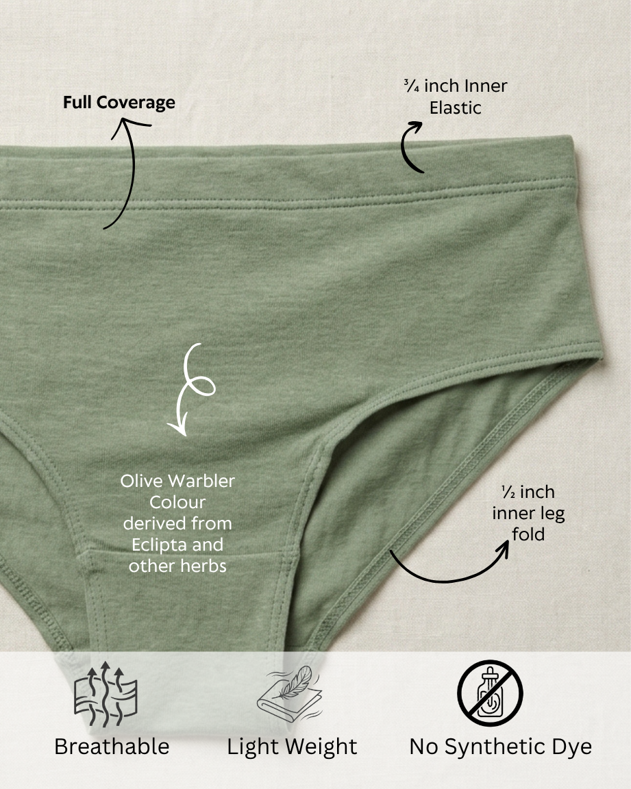 Naturally Dyed Cotton Brief for Boys | Gentle Everyday Comfort | Full Coverage | Olive Warbler | Eco Hue